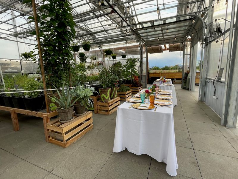 The Greenhouse Mood Is More Than Decoration
