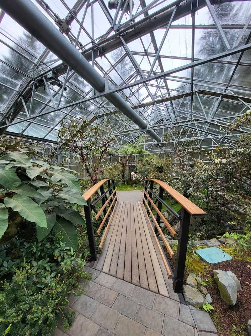 The Greenhouse That Feels Like A Storybook