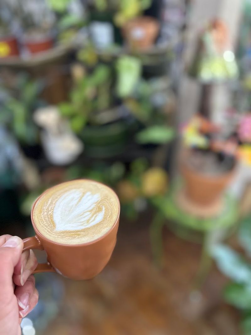 Feathered Saddle Coffee Co. – Carol Stream