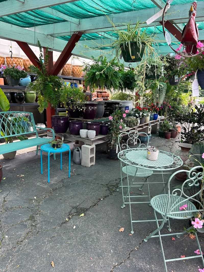 Feathered Saddle Coffee Co.