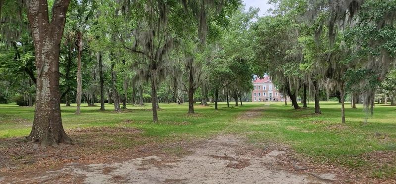 The Grounds Run All The Way To The Ashley River