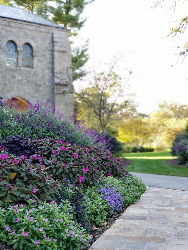 The Grounds That Outshine Many Official Gardens The Grounds That Outshine Many Official Gardens