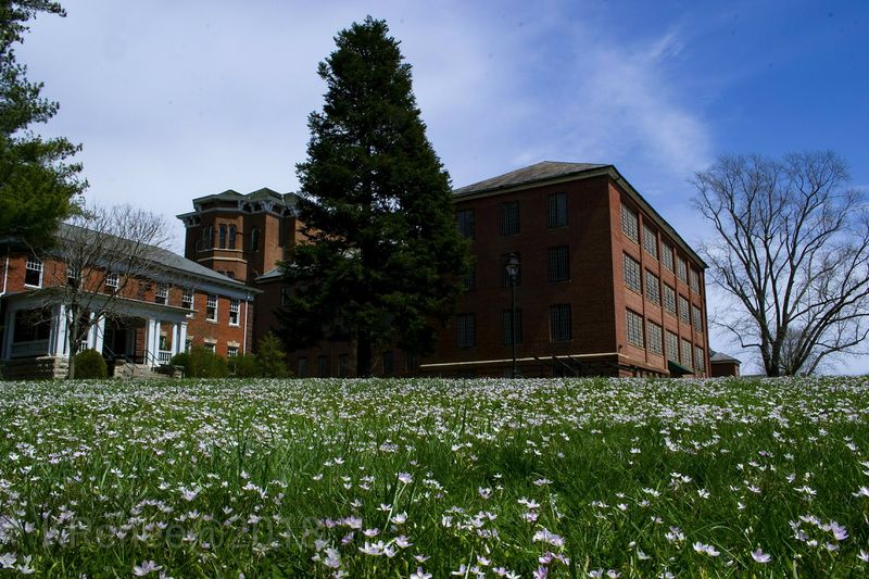 The Grounds Trail: A Walk Worth Every Step