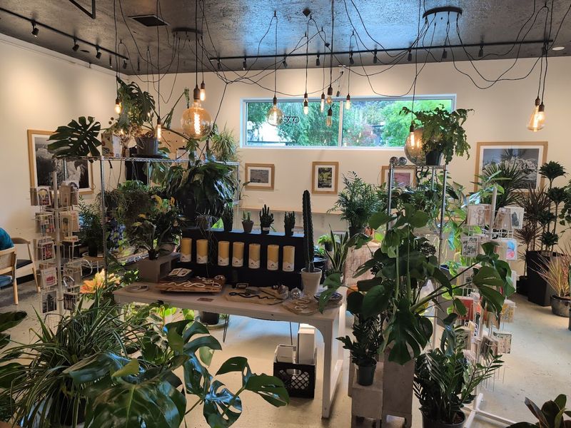 Still Life Coffee & Botanicals