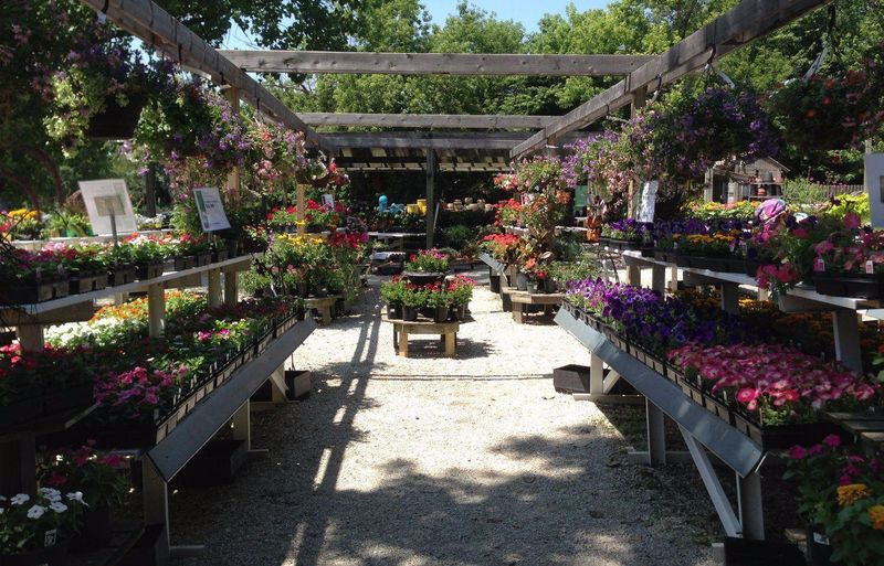 The Growing Place, Naperville The Growing Place, Naperville
