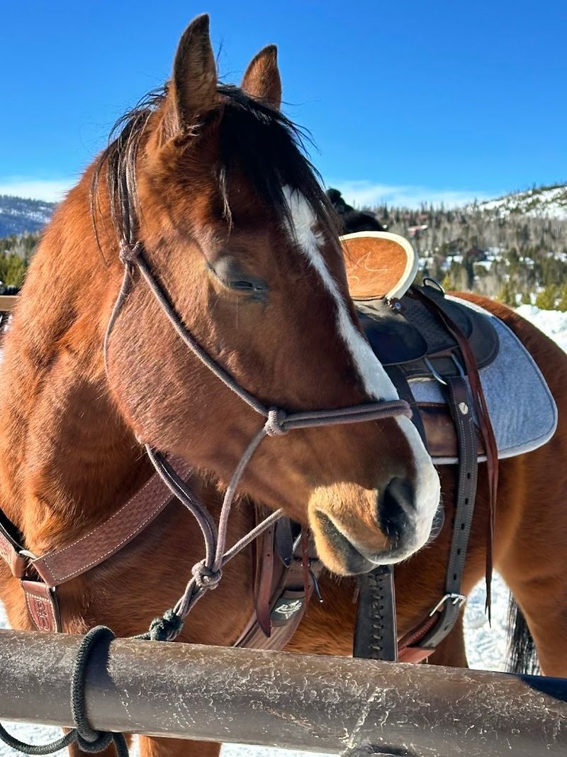 Riding Through Snow: Why Winter Trails Hit Differently