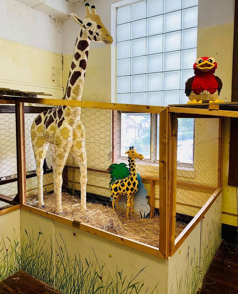 Themed Rooms That Spark Imagination