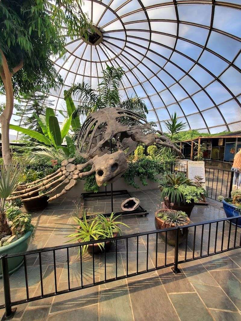 The Sky Dome Tropical Rainforest Experience