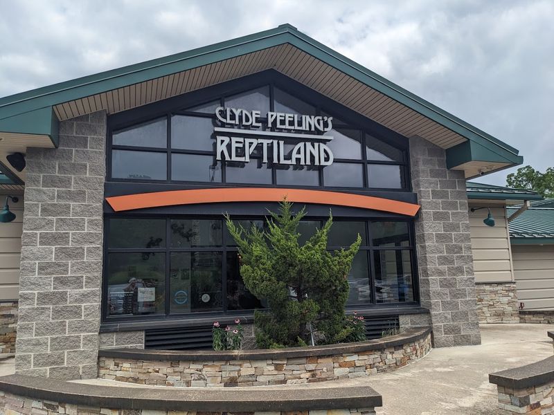 Clyde Peeling's Reptiland, Allenwood