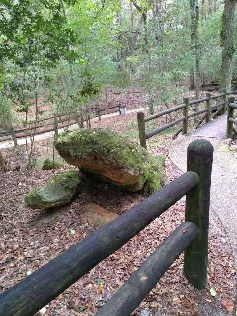 The Half-Mile Nature Trail Through Stone Logs The Half-Mile Nature Trail Through Stone Logs
