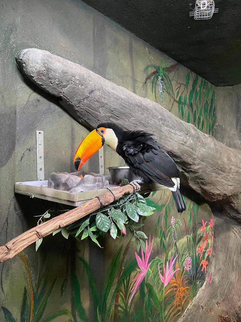 The Treehouse and Nature Exploration Areas