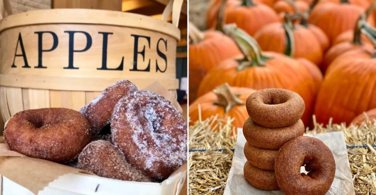 The Halloween Donuts In Massachusetts Everyone Lines Up For