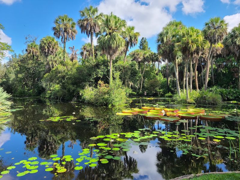 Planning Your Visit To Bok Tower Gardens