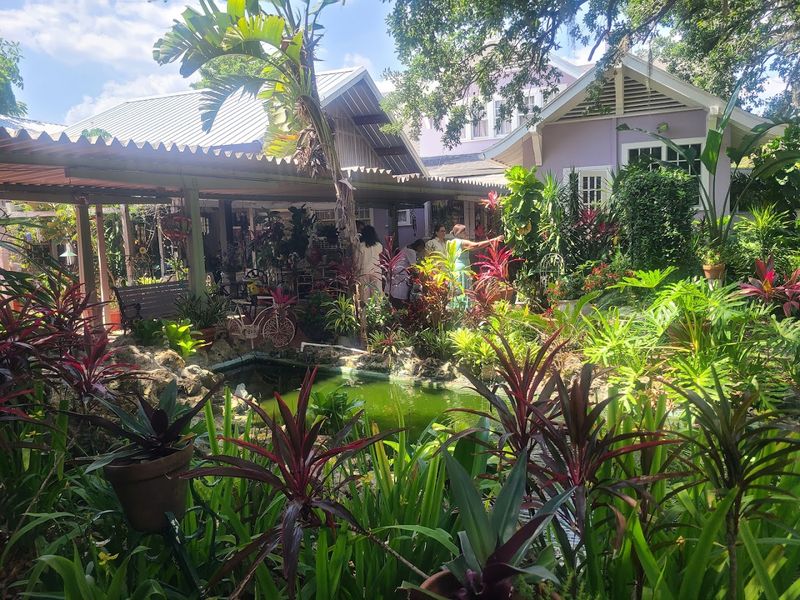 The Ancient Oak Tree That Has Seen Everything