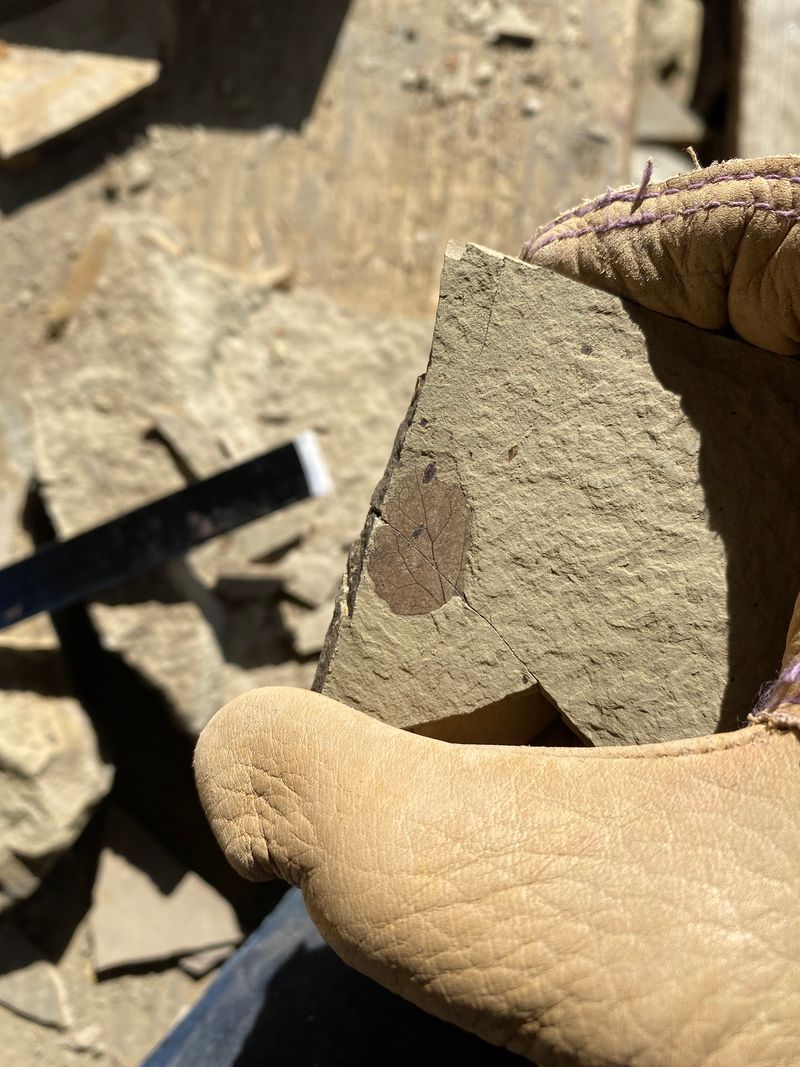 The Hands-On Dig That Steals The Show The Hands-On Dig That Steals The Show