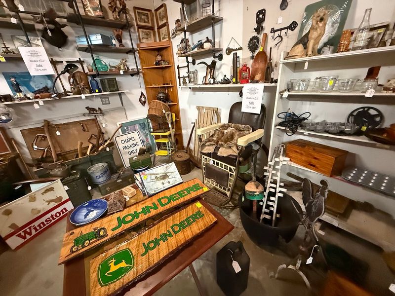 Yes, You Can Bring Your Dog