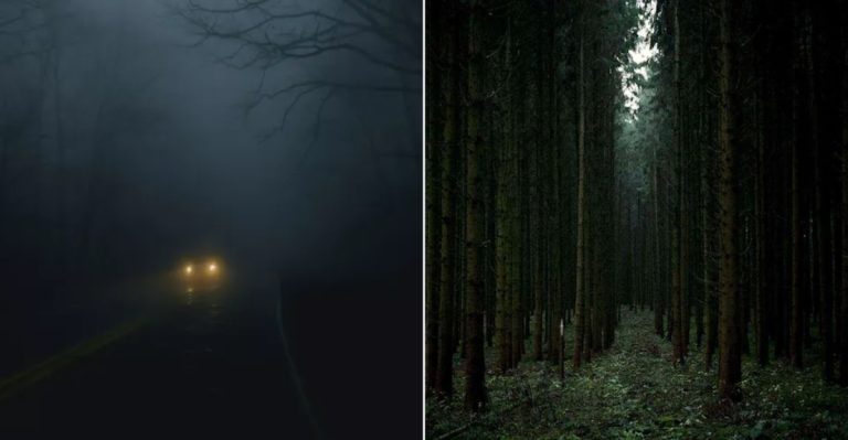 The Haunted Arkansas Forest Road Locals Say Turns Unnervingly Silent After Sunset