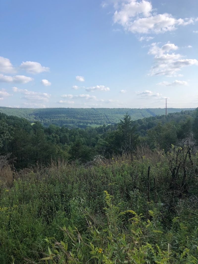 Primitive Camping on the Mountain