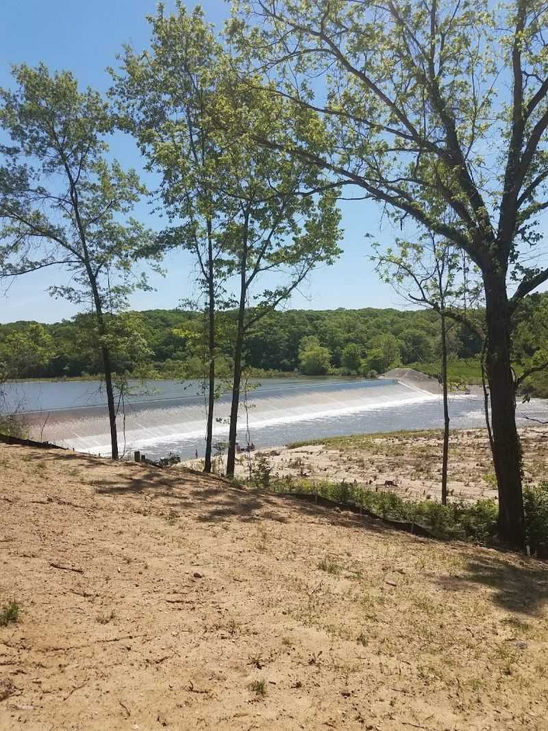 Strange Lights Over Coles County Fields At Night