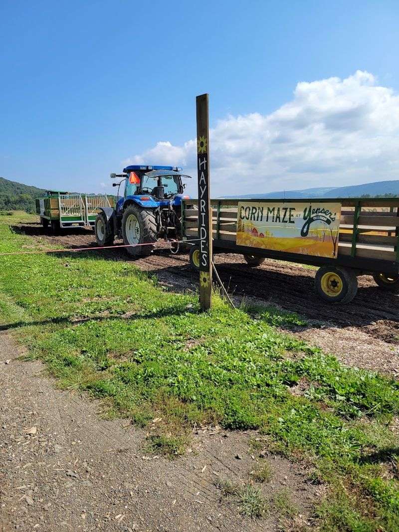 The Hayride Takes You Across The Property