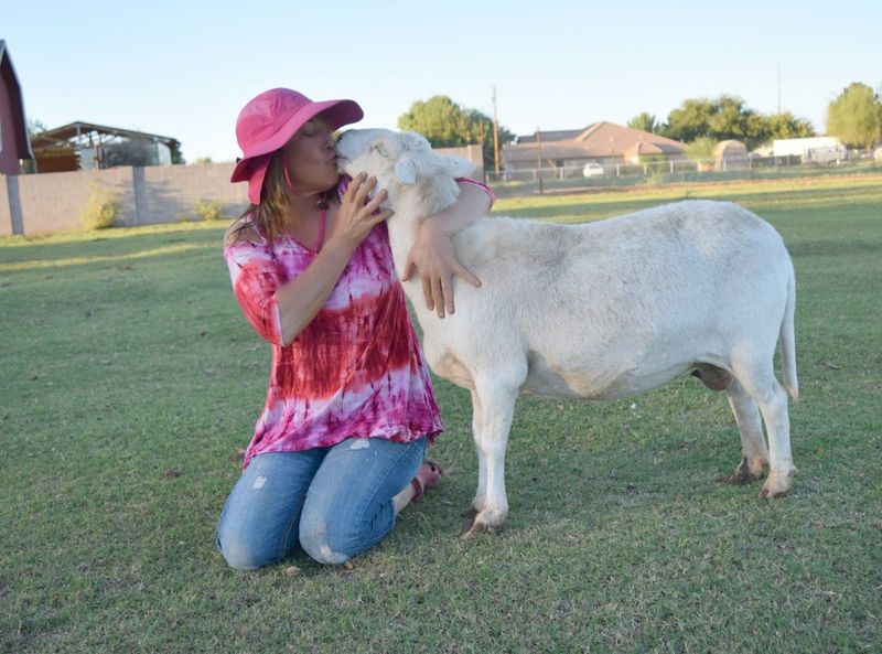 The Heart Behind The Sanctuary: Aimee's Story