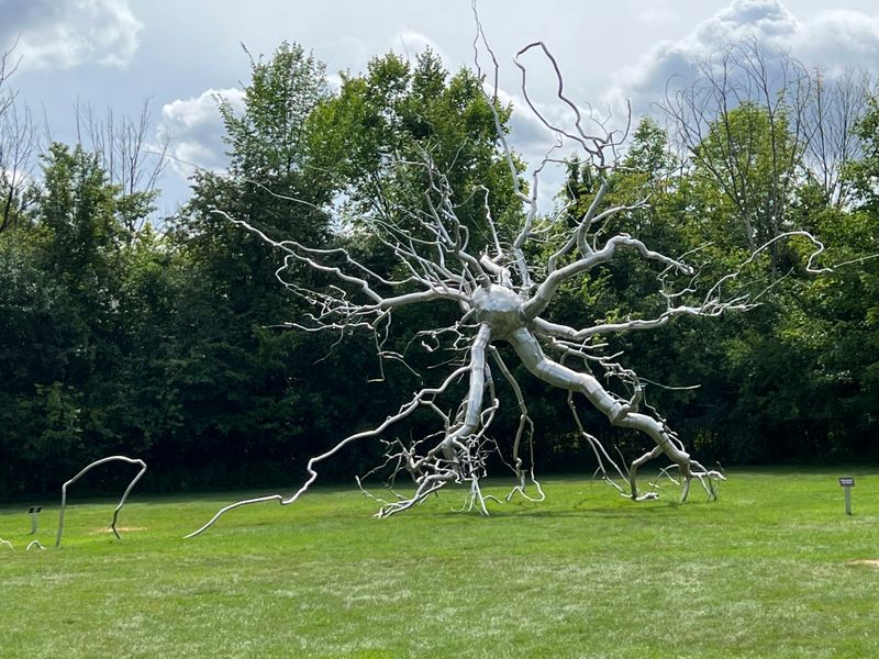 Frederik Meijer Gardens And Sculpture Park, Grand Rapids