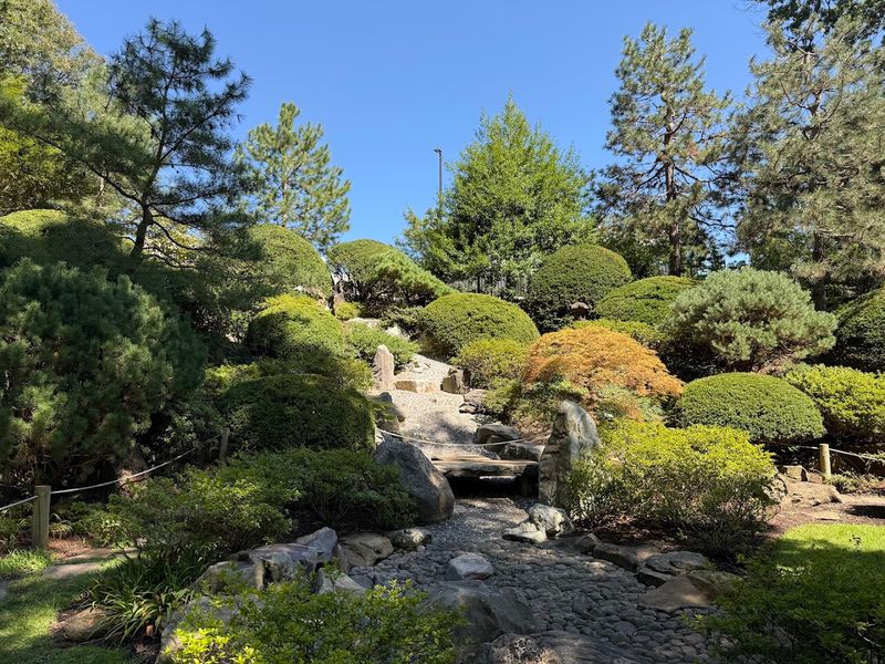 Japanese Garden and Rose Garden: Quiet Corners Worth Seeking Out