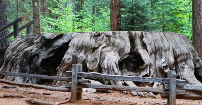 The Hidden California State Park That Holds A Natural Wonder You Won’t Believe Exists