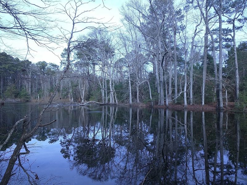 The Hidden Freshwater Gem Nobody Talks About