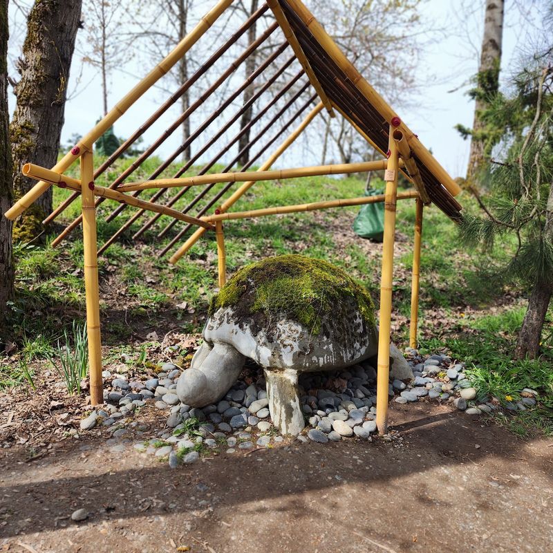 The Hidden Garden and Wishing Turtle The Hidden Garden and Wishing Turtle