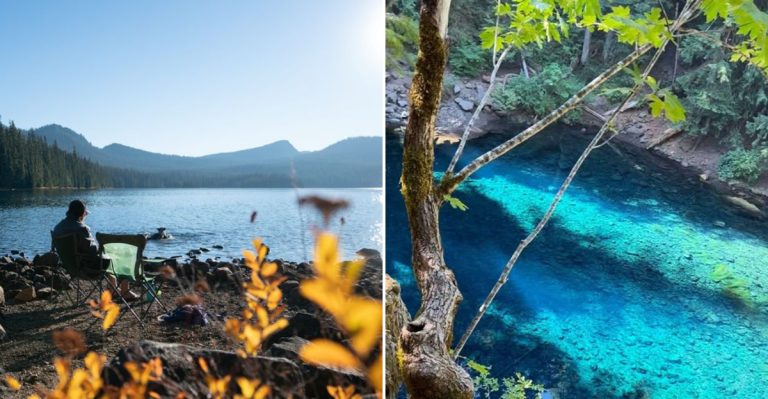 The Hidden Oregon Lake That Locals Say Is Perfect For A Fall Picnic