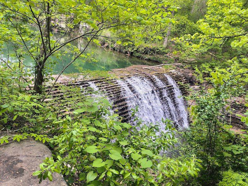 A Forest Path Straight Out Of A Dream
