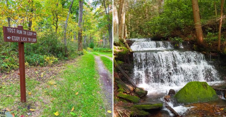 The Hidden Waterfall Trail In Pennsylvania That Even Locals Don’t Talk About