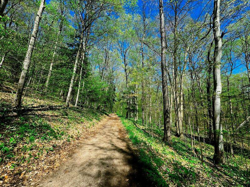 The High Ridge Route