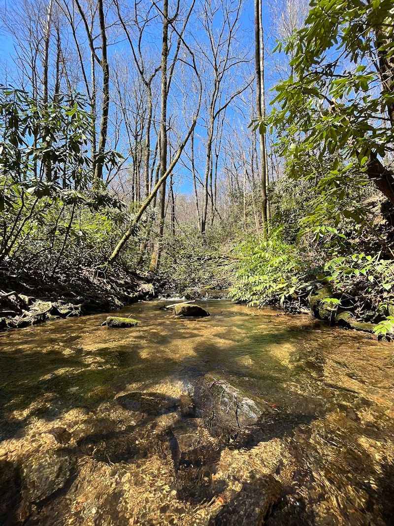 The Trail Is Quiet And Rarely Crowded