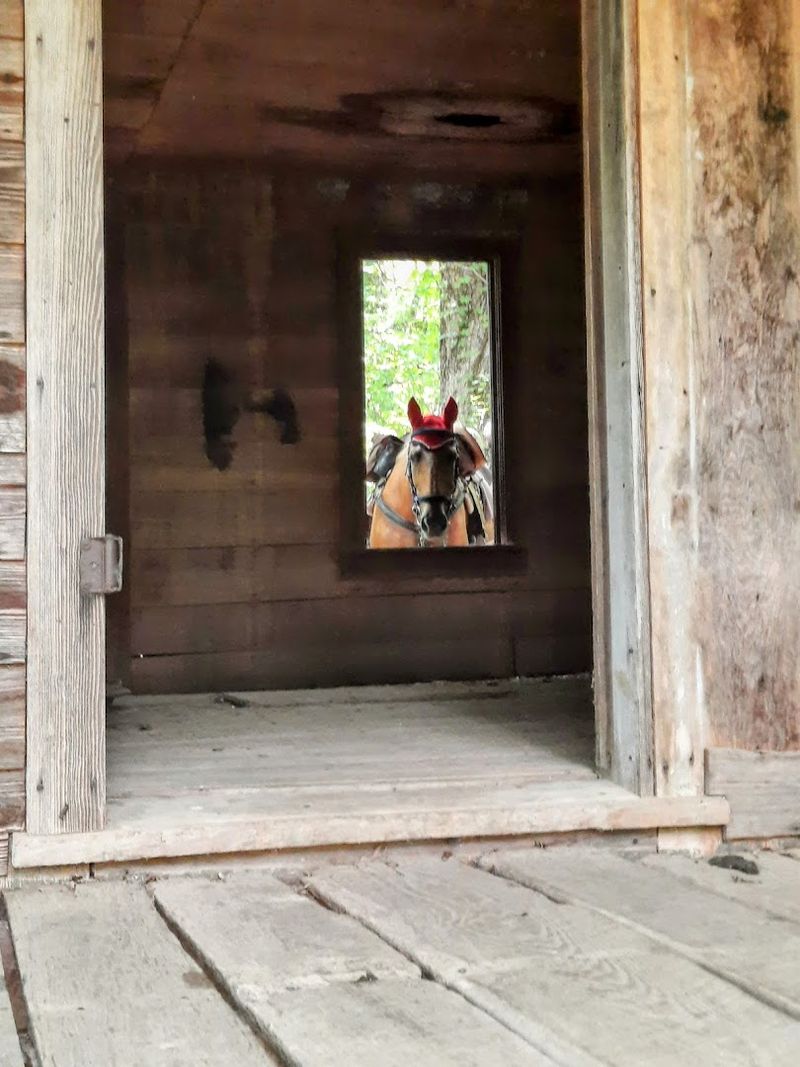 Standing Inside A Living History Lesson