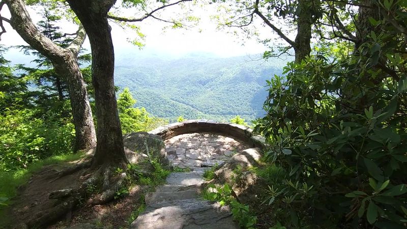Fall Foliage That Looked Like It Was Showing Off
