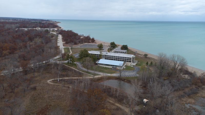 The Bird Watching Scene 