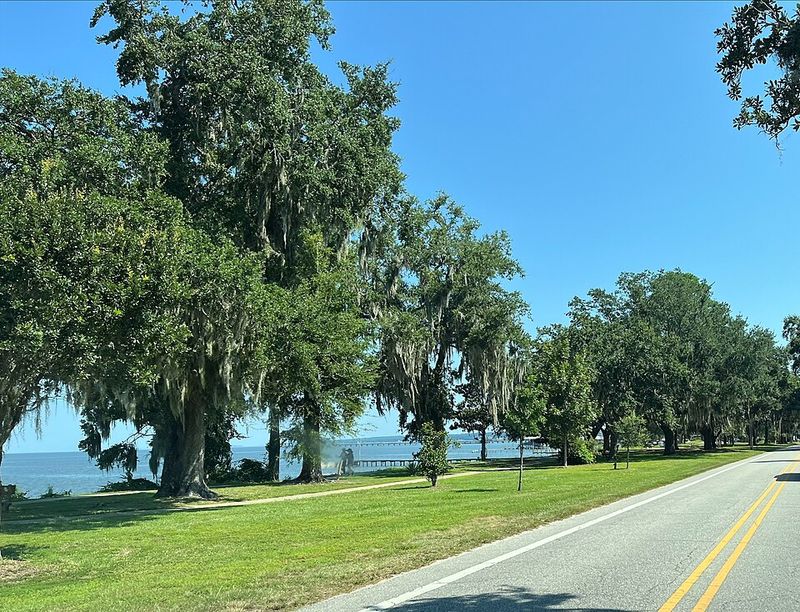 The Scenic Highway 98 Location You Will Never Forget