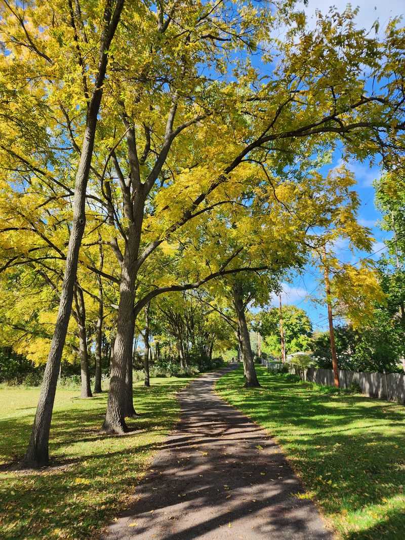Saturday Vibes At The Farmers Market