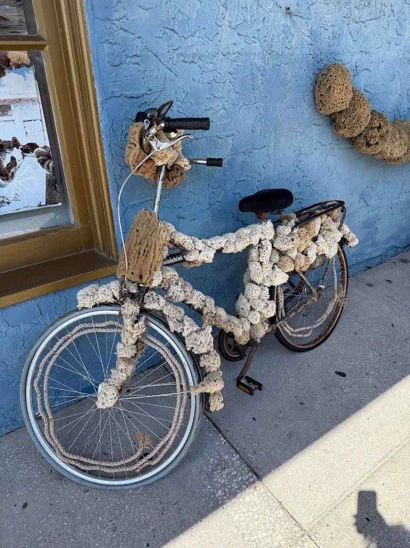 Real Sea Sponges Straight From The Gulf