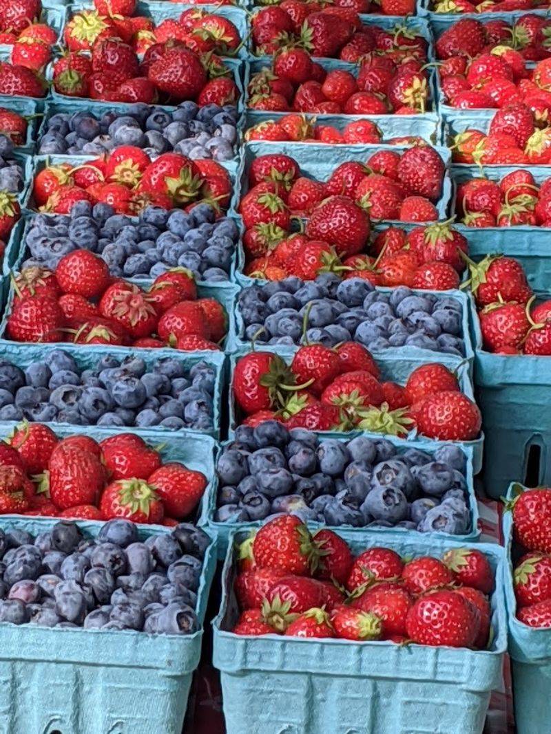 The Farmers Market Experience