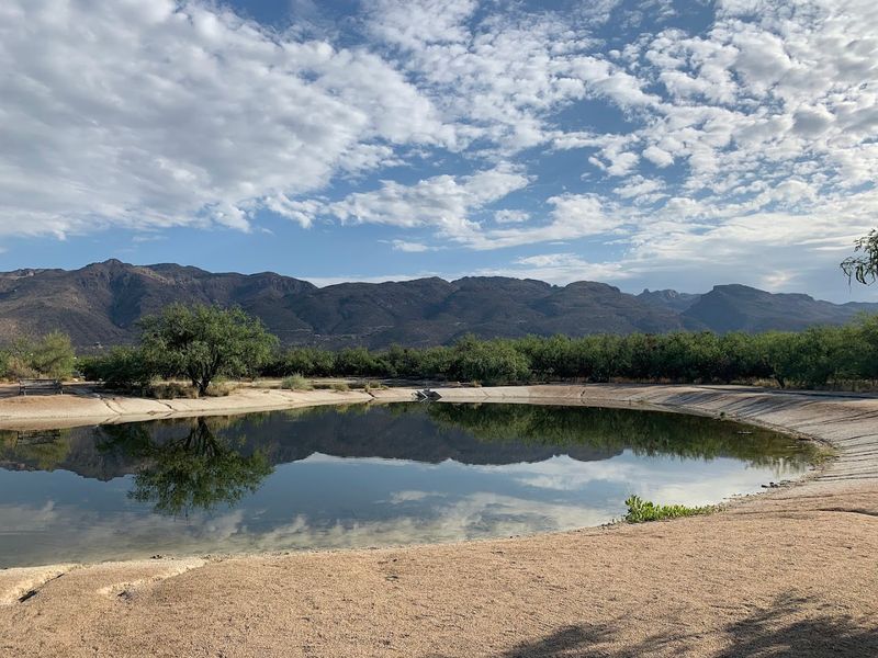 Planning Your Visit To This Tucson Treasure
