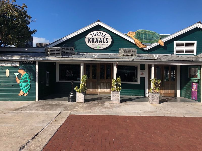 Friday Turtle Races That Actually Happen