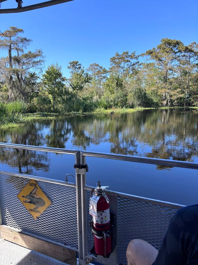 Flat-Bottomed Boats And The Art Of Swamp Navigation
