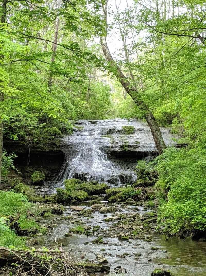 The Secret Waterfall Worth The Hike