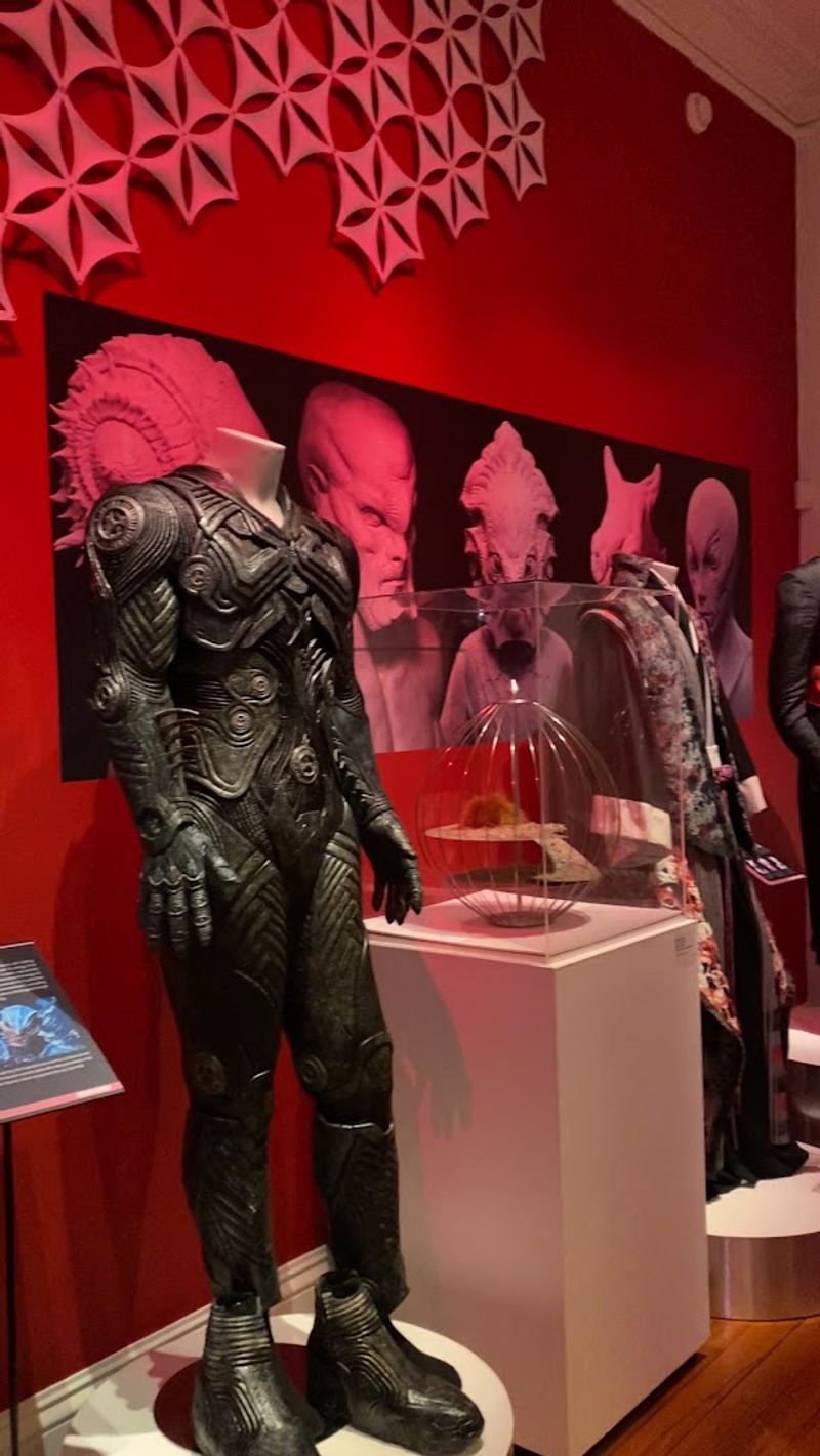 Rotating Exhibits That Keep Things Fresh