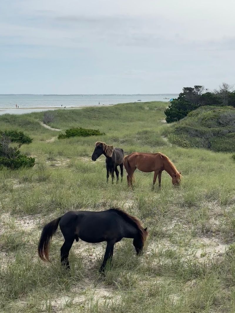 The History Buried In This Island Will Genuinely Surprise You