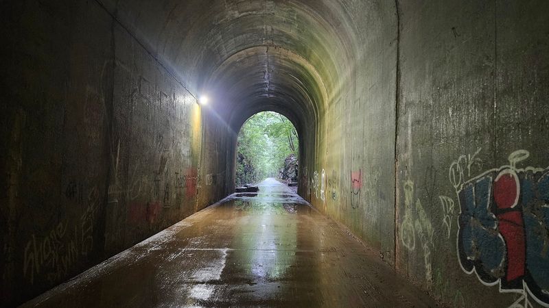 The Light At The Other End Is Worth Every Step