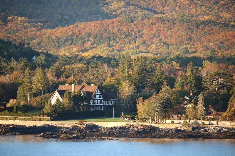 The History Of The Summer Colony